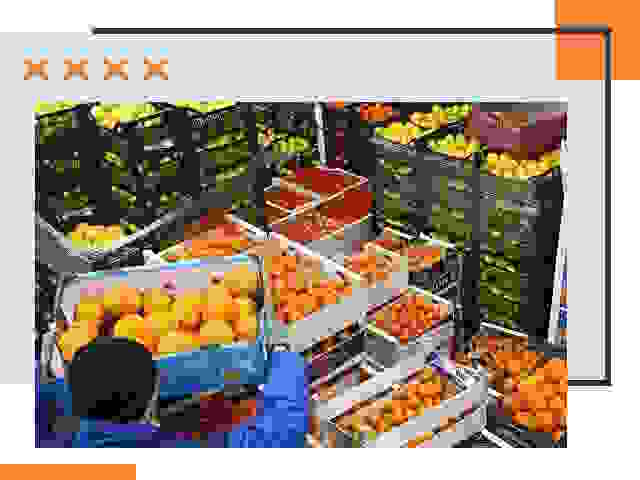 Перевозка скоропортящихся продуктов в Чебаркуле